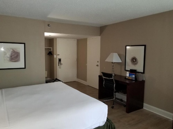 Wyndham Garden Gainesville image 10