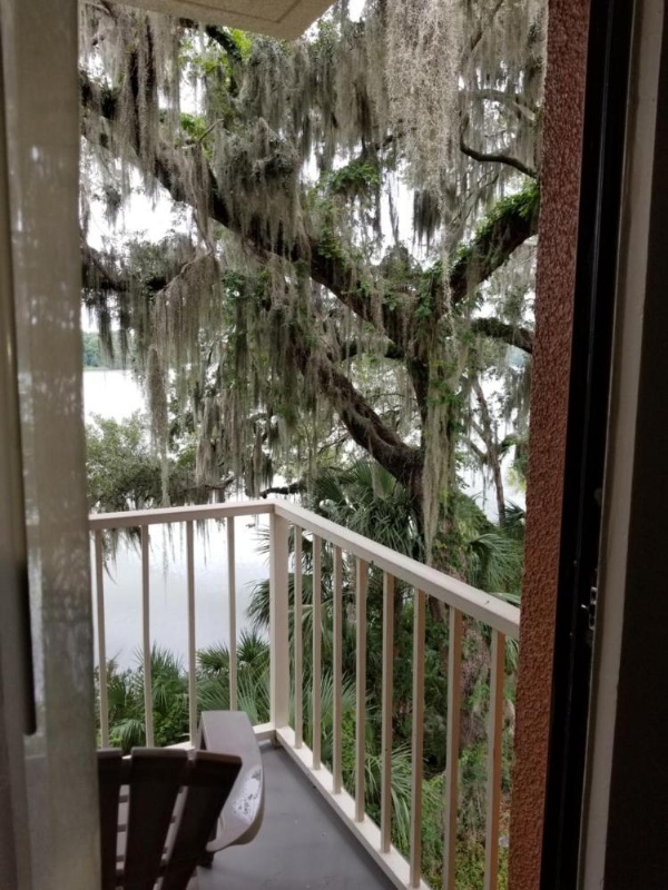 Wyndham Garden Gainesville image 19