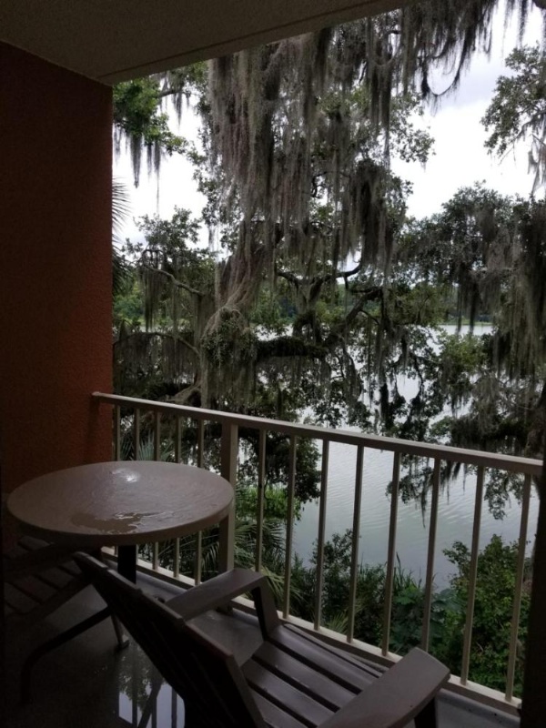 Wyndham Garden Gainesville image 20